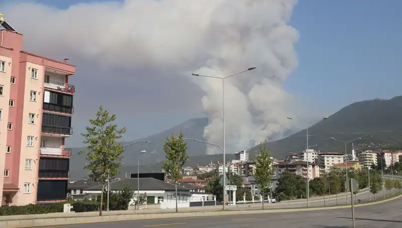 Denizli'de Orman Yangını Korkuttu: Şüpheli Gözaltına Alındı!