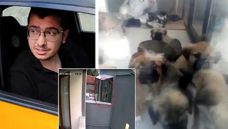 Hayvanseverleri Şaşkına Çeviren Doktorun Şok Edici Köpek Davası