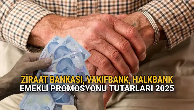 2025 Yılı İçin Kamu Bankalarından Emeklilere Cazip Maaş Promosyonları Çıkıyor