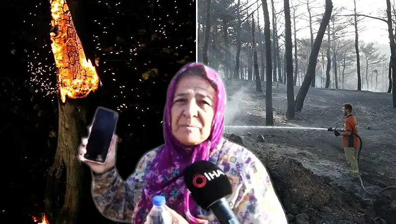 Çanakkale Orman Yangınları Kontrol Altına Alındı: Kayıplar ve Umutlar