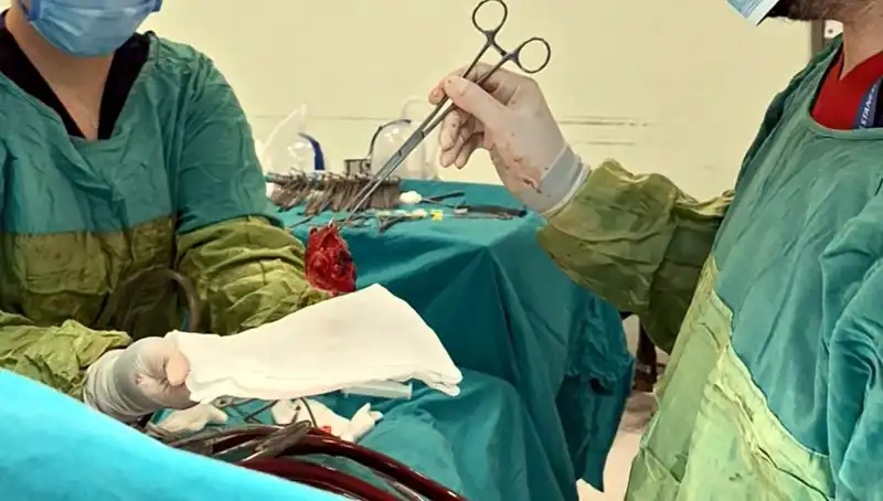 Kalp Kapağı Çürüyen Hastaya Yapılan Zorlu Ameliyat ve 'Mucizevi' Sonuçlar