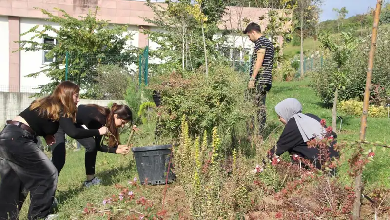 Düzce'nin Yıldızı: Dünyayı Saracak Hayaller Gerçek Oluyor