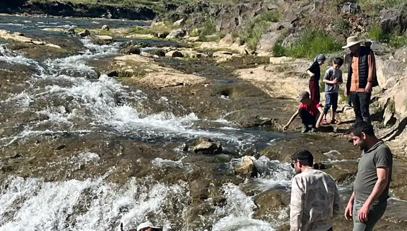 İnci Kefalinin Büyüleyici Göçü: Doğanın Eşsiz Güzellikleri Turistleri Çekiyor