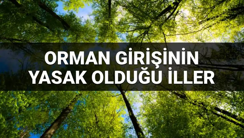 2025'te Ormana Girişi Yasaklanan İller Hakkında Tüm Detaylar