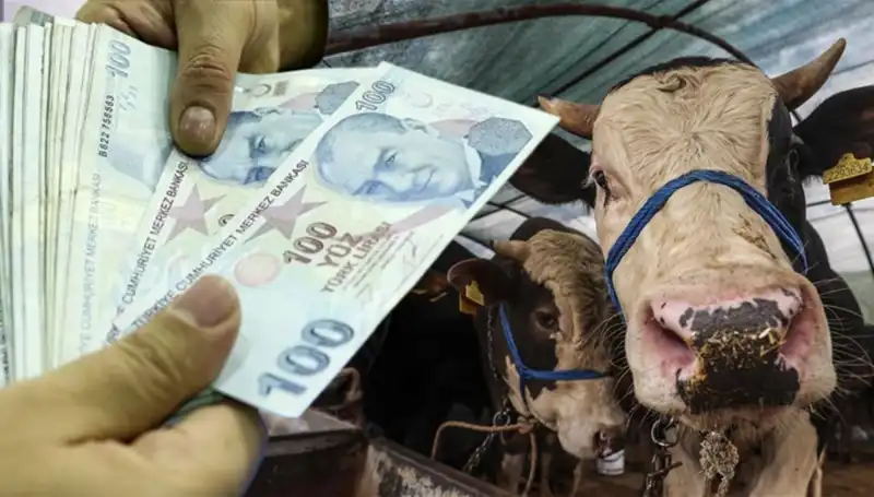 Maaşlar Kurban Bayramı Öncesi Yatacak mı? Detaylar Burada!