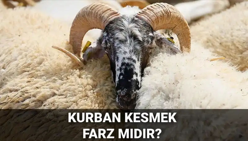 Kurban Kesmek Farz mı? Diyanet’in Hükmü ve Şartları Nedir?