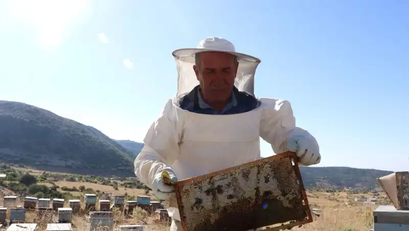 25 Yıl Sonra Yeni Bir Başlangıç: Mobilya Yerine 2 Ton Ürün Dikeyi