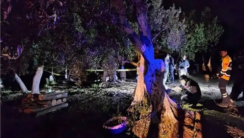 Çiftlikteki Baltalı Vahşette İlk Tutuklama Gerçekleşti: Detaylar Ortaya Çıktı!