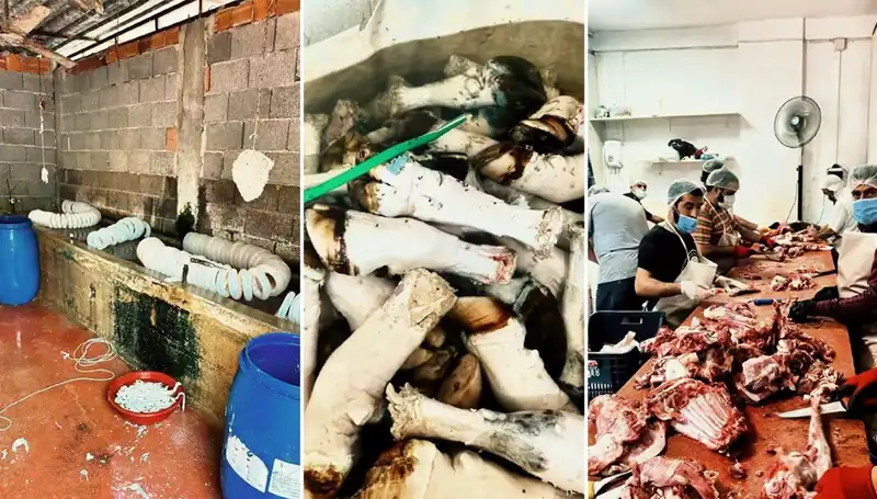 Adana'da Zabıta Operasyonu: Yüzlerce Kilo Paça İmha Edildi!
