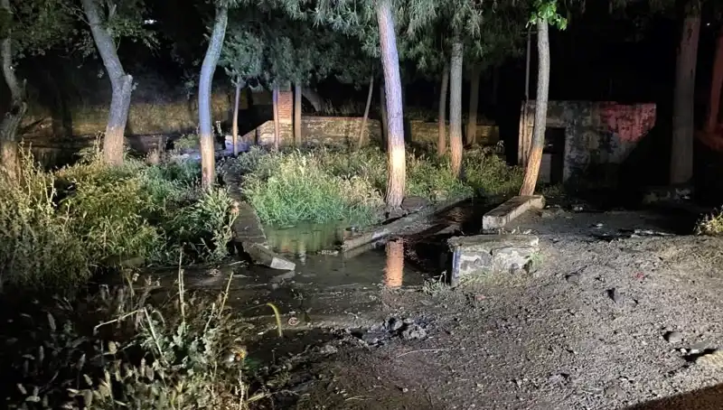 Manisa'da Parkta Şüpheli Ölüm Bilgileri Gün Yüzüne Çıktı