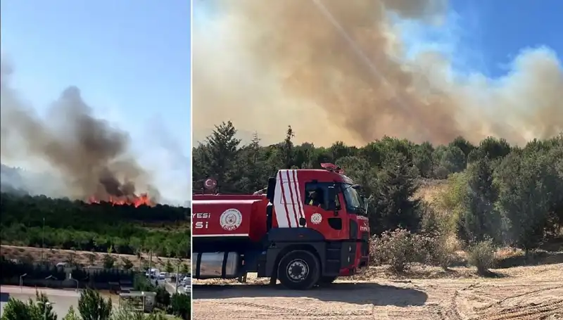 Gebze'de Büyüyen Orman Yangını: Doğa ve Hayatlar Tehdit Altında