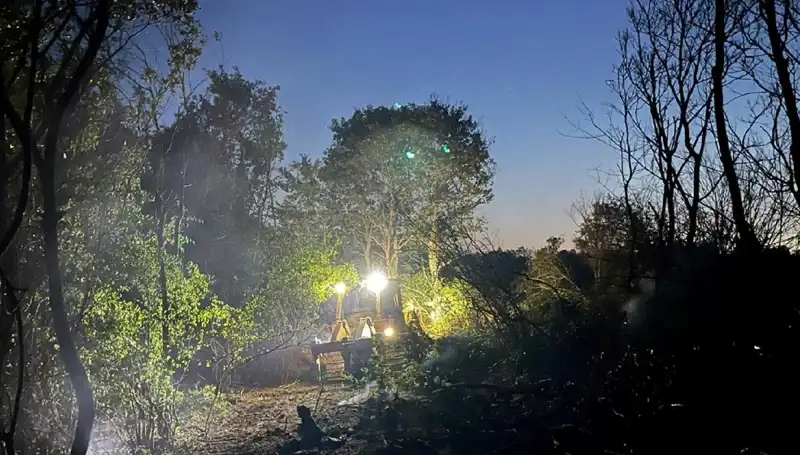 Edirne'deki Orman Yangını Kontrol Altına Alındı: Olayın Detayları