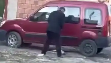 Sokak Ortasında Köpeğe Uygulanan Şiddet, Toplumda Büyük Tepki Yarattı
