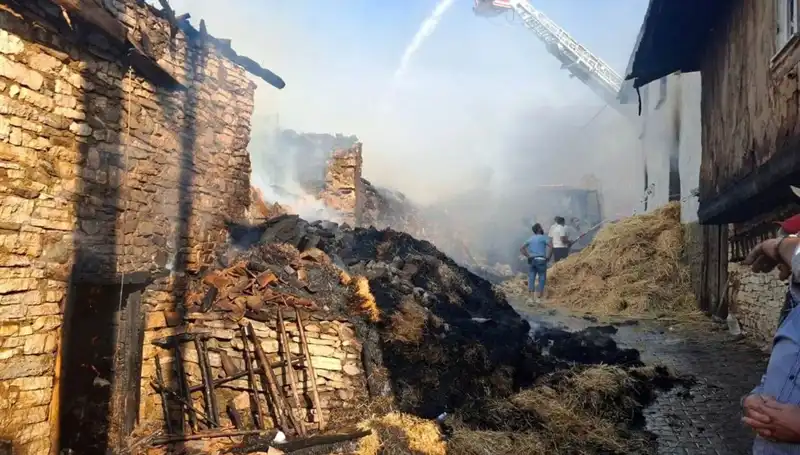 Durum Korkunç: Köyde Yangın 4 Evi Zarara Uğrattı