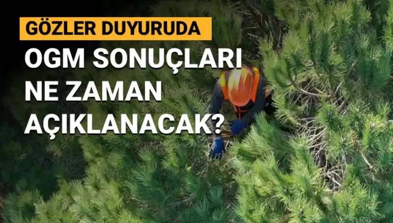 OGM Personel Alımı Sonuçları: 3 Bin 477 Kişinin Beklentisi Ne Zaman Sonuçlanacak?