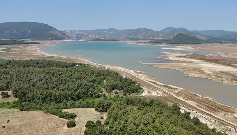 İzmir'de Tehlike Çanları Çalıyor: Geçen Yıla Göre Yüzde 50 Düşüş Gerçekleşti