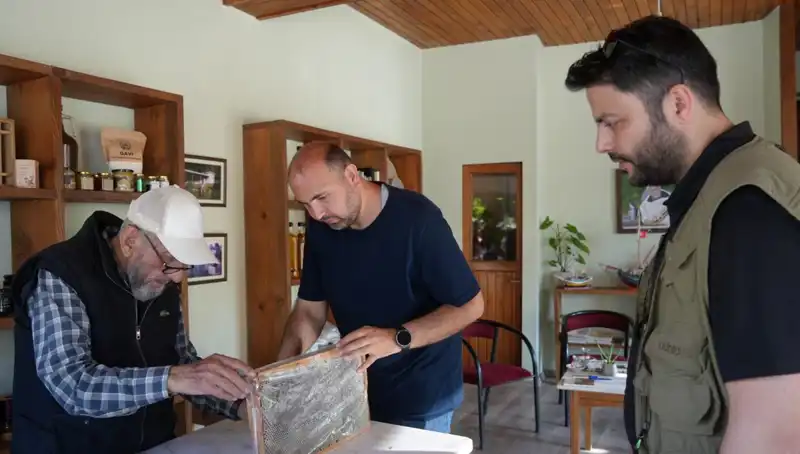 Doktorlar Uyarıyor: Bu Doğal Karışım Hem Şifa Hem Tehlike Taşıyor