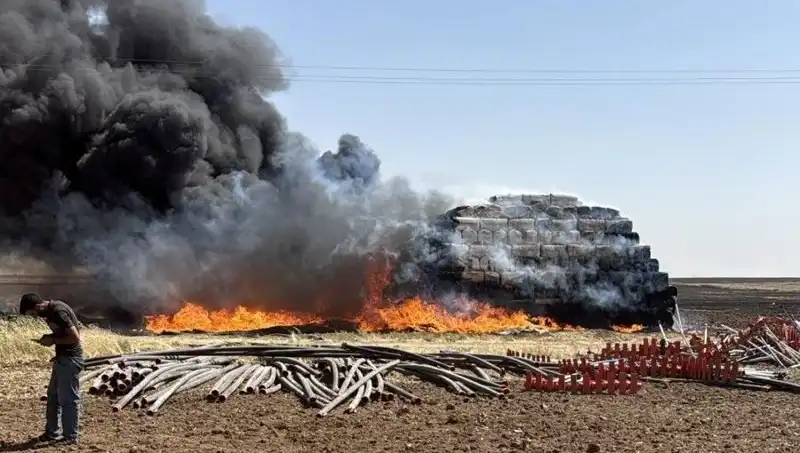 Mardin’de Anız Yangını: Doğayı Tehdit Eden Korkunç Manzaralar